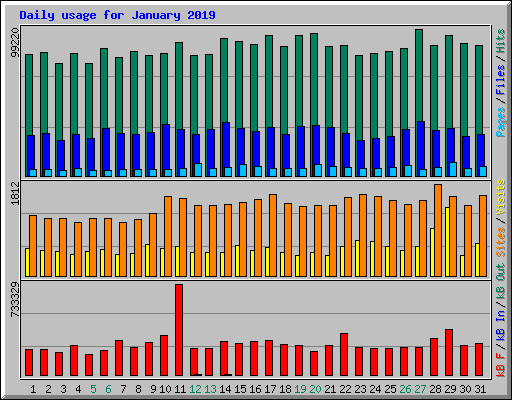 Daily usage for January 2019