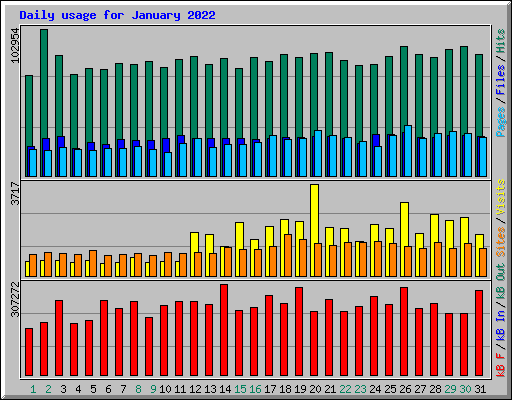 Daily usage for January 2022