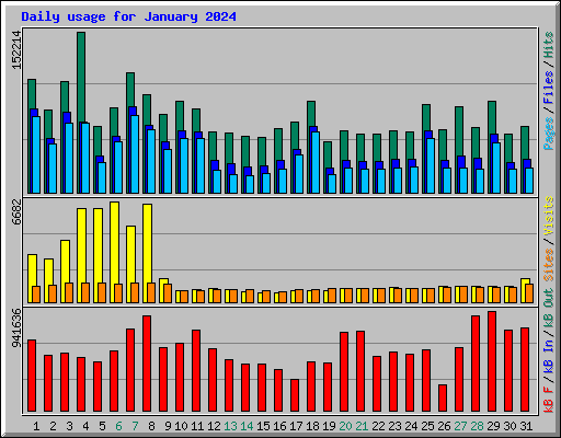 Daily usage for January 2024