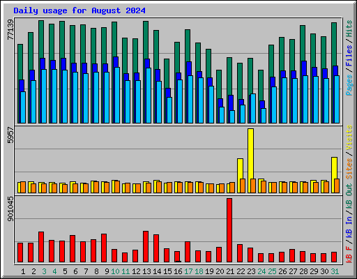 Daily usage for August 2024