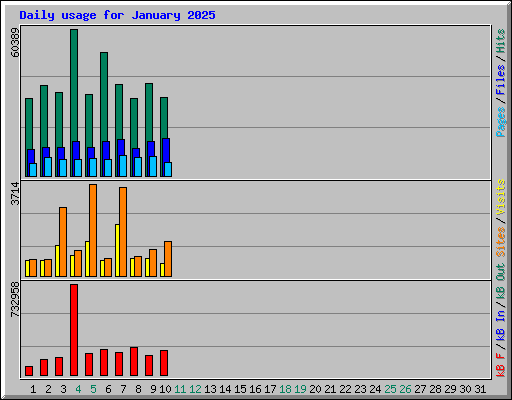 Daily usage for January 2025